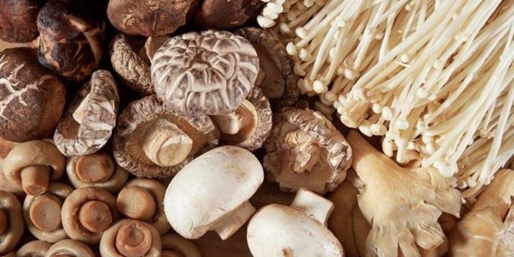 Ăn nấm có thực sự tốt? Những loại nấm nào hỗ trợ phòng ngừa ung thư?